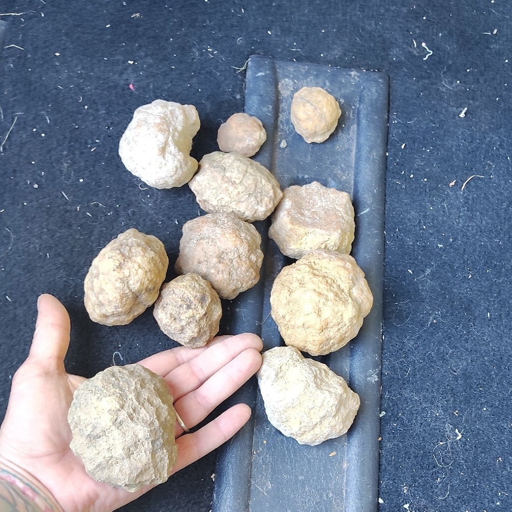 Geodes - Picture 4 of 6
